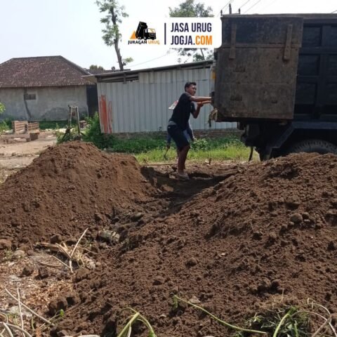 Urug Tanah Murni
